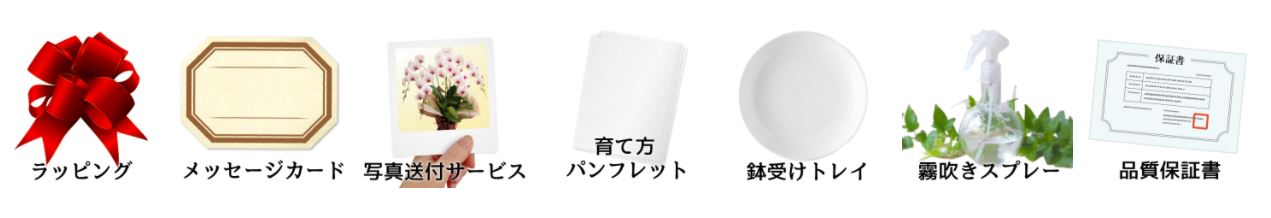 ランノハナドットコム 無料